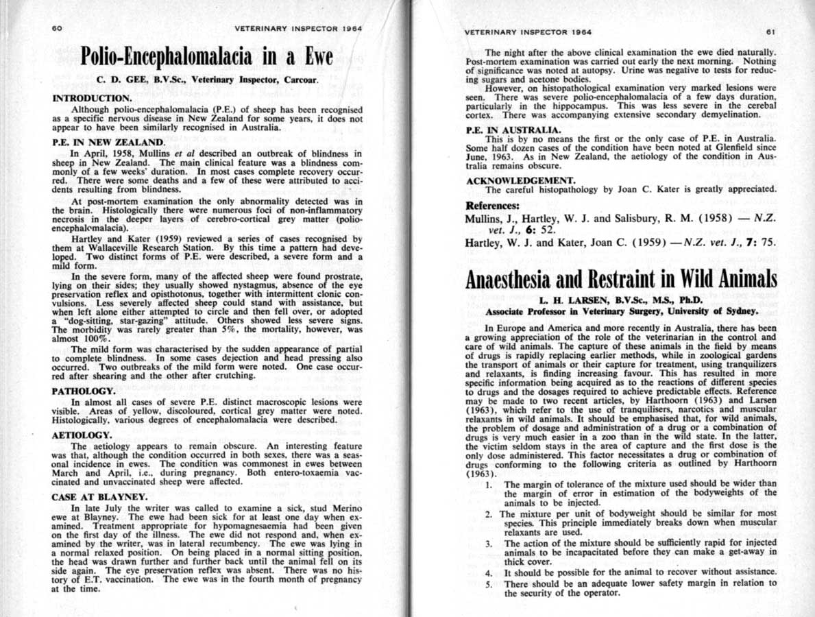 1964 Page 60 61